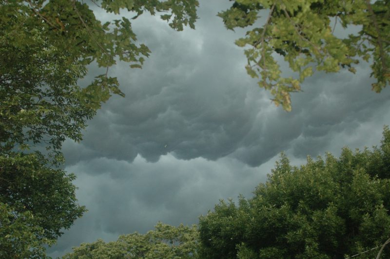 A Great Summer Storm